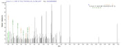 Based on the SEQUEST from database of E.coli host and target protein, the LC-MS/MS Analysis result of RPC25784 could indicate that this peptide derived from E.coli-expressed Treponema pallidum (strain Nichols) TP_0608.