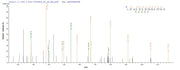 Based on the SEQUEST from database of E.coli host and target protein, the LC-MS/MS Analysis result of RPC25786 could indicate that this peptide derived from E.coli-expressed Treponema pallidum (strain Nichols) troA.