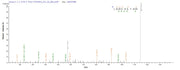 Based on the SEQUEST from database of E.coli host and target protein, the LC-MS/MS Analysis result of RPC25787 could indicate that this peptide derived from E.coli-expressed Trypanosoma cruzi HSP100.