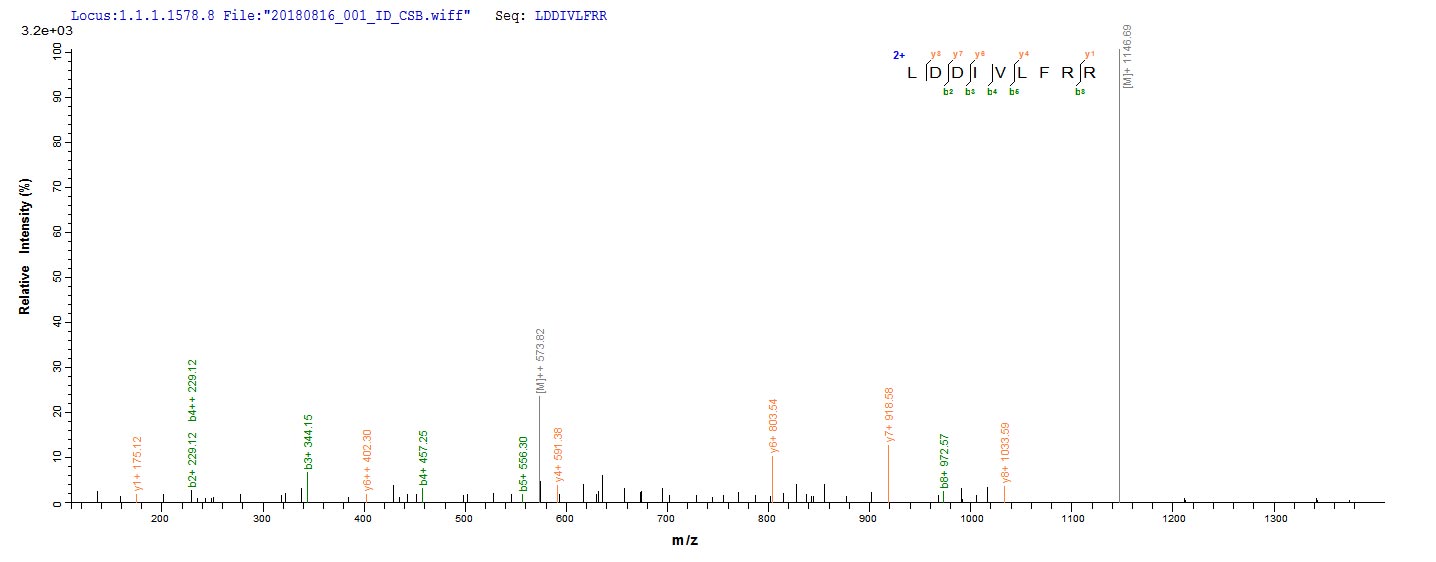 Based on the SEQUEST from database of E.coli host and target protein, the LC-MS/MS Analysis result of RPC25787 could indicate that this peptide derived from E.coli-expressed Trypanosoma cruzi HSP100.