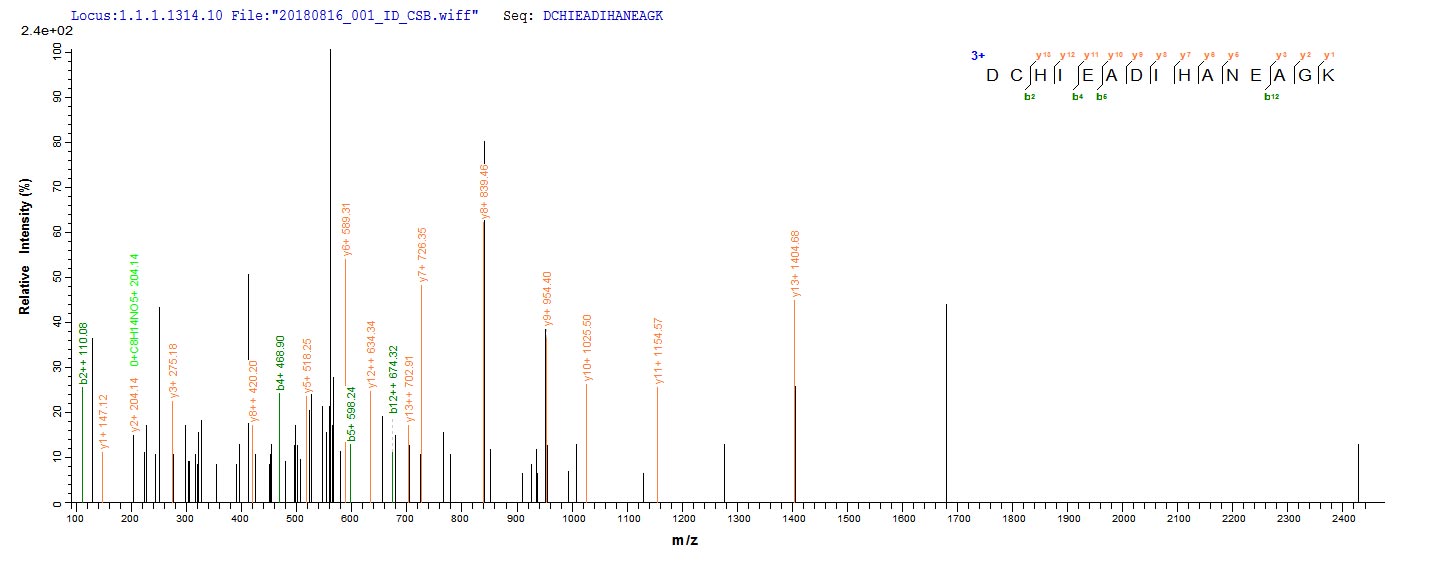 Based on the SEQUEST from database of E.coli host and target protein, the LC-MS/MS Analysis result of RPC25789 could indicate that this peptide derived from E.coli-expressed