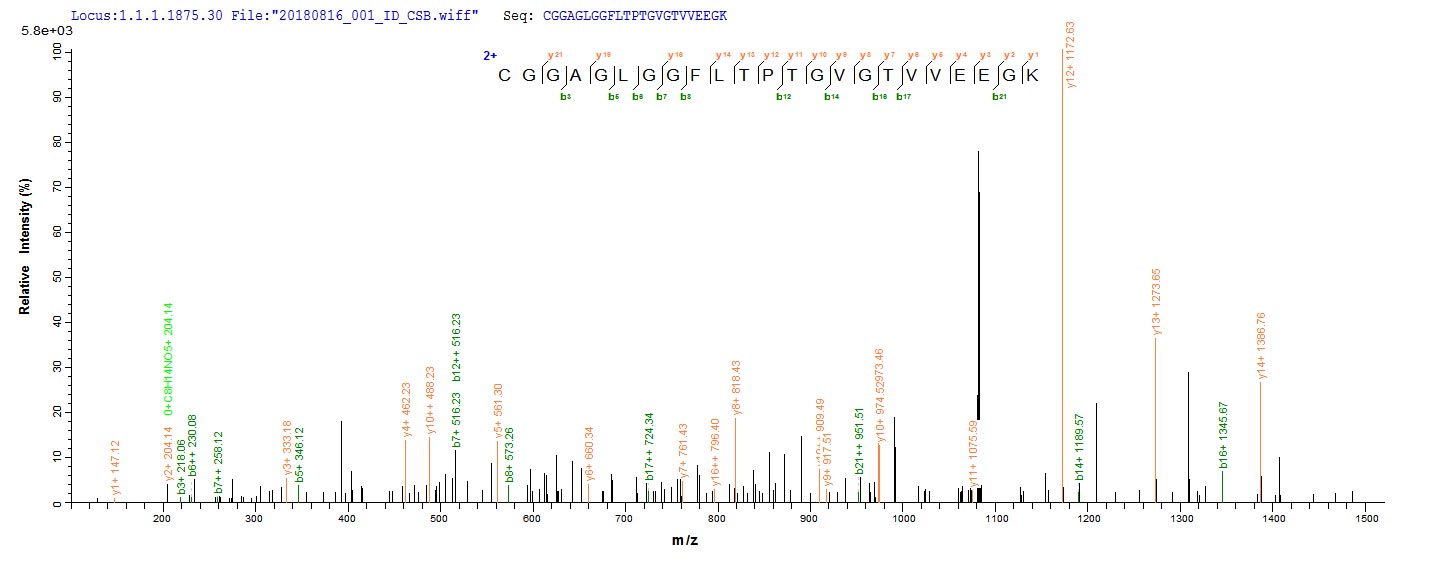 Based on the SEQUEST from database of E.coli host and target protein, the LC-MS/MS Analysis result of RPC25790 could indicate that this peptide derived from E.coli-expressed