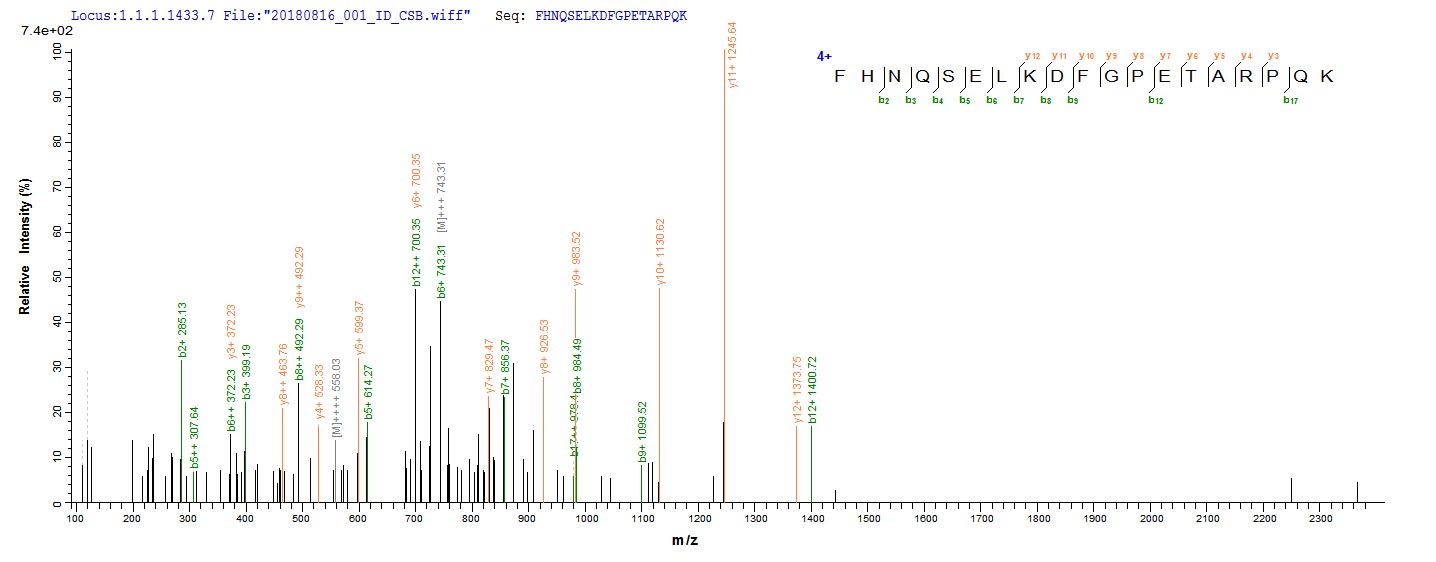 Based on the SEQUEST from database of E.coli host and target protein, the LC-MS/MS Analysis result of RPC25791 could indicate that this peptide derived from E.coli-expressed Rattus norvegicus (Rat) Sost.