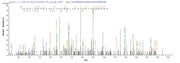 Based on the SEQUEST from database of E.coli host and target protein, the LC-MS/MS Analysis result of RPC25793 could indicate that this peptide derived from E.coli-expressed Phytophthora cryptogea N/A.