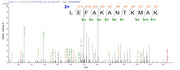 Based on the SEQUEST from database of E.coli host and target protein, the LC-MS/MS Analysis result of RPC25794 could indicate that this peptide derived from E.coli-expressed Homo sapiens (Human) RBPMS.
