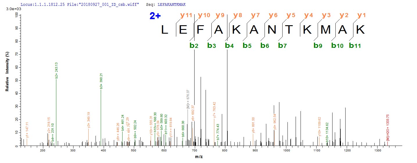 Based on the SEQUEST from database of E.coli host and target protein, the LC-MS/MS Analysis result of RPC25794 could indicate that this peptide derived from E.coli-expressed