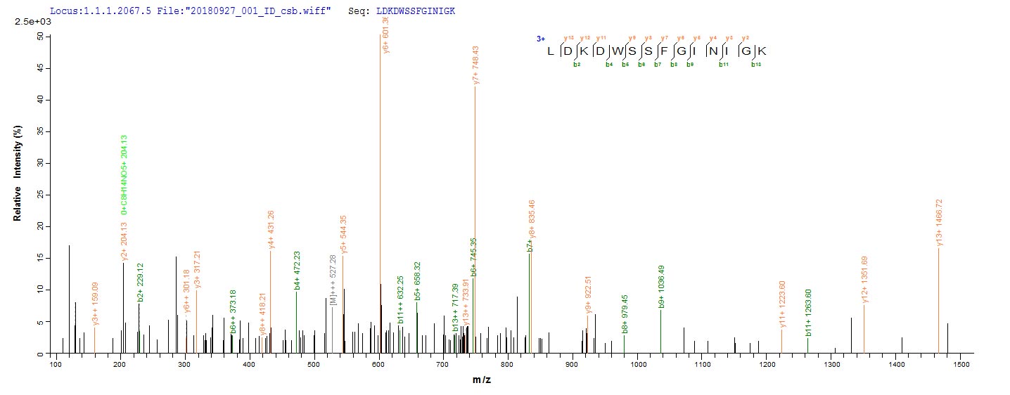 Based on the SEQUEST from database of E.coli host and target protein, the LC-MS/MS Analysis result of RPC25799 could indicate that this peptide derived from E.coli-expressed Vesicular stomatitis Indiana virus (strain Glasgow) (VSIV) N.