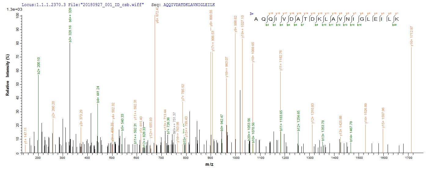 Based on the SEQUEST from database of E.coli host and target protein, the LC-MS/MS Analysis result of RPC25800 could indicate that this peptide derived from E.coli-expressed