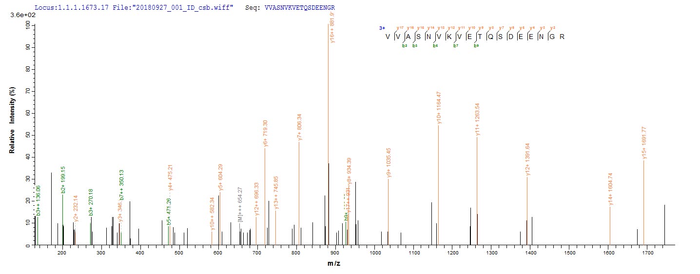 Based on the SEQUEST from database of E.coli host and target protein, the LC-MS/MS Analysis result of RPC25804 could indicate that this peptide derived from E.coli-expressed Homo sapiens (Human) IKZF1.
