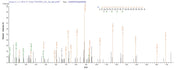Based on the SEQUEST from database of E.coli host and target protein, the LC-MS/MS Analysis result of RPC25804 could indicate that this peptide derived from E.coli-expressed Homo sapiens (Human) IKZF1.