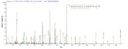 Based on the SEQUEST from database of E.coli host and target protein, the LC-MS/MS Analysis result of RPC25805 could indicate that this peptide derived from E.coli-expressed Lentinula edodes (Shiitake mushroom) (Lentinus edodes) N/A.
