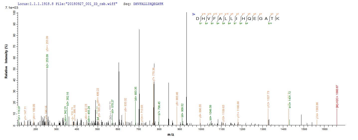 Based on the SEQUEST from database of E.coli host and target protein, the LC-MS/MS Analysis result of RPC25805 could indicate that this peptide derived from E.coli-expressed Lentinula edodes (Shiitake mushroom) (Lentinus edodes) N/A.
