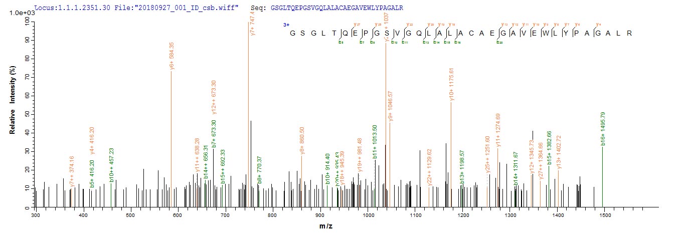 Based on the SEQUEST from database of E.coli host and target protein, the LC-MS/MS Analysis result of RPC25811 could indicate that this peptide derived from E.coli-expressed Homo sapiens (Human) METRN.