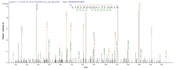 Based on the SEQUEST from database of E.coli host and target protein, the LC-MS/MS Analysis result of RPC25815 could indicate that this peptide derived from E.coli-expressed Homo sapiens (Human) ACTB.