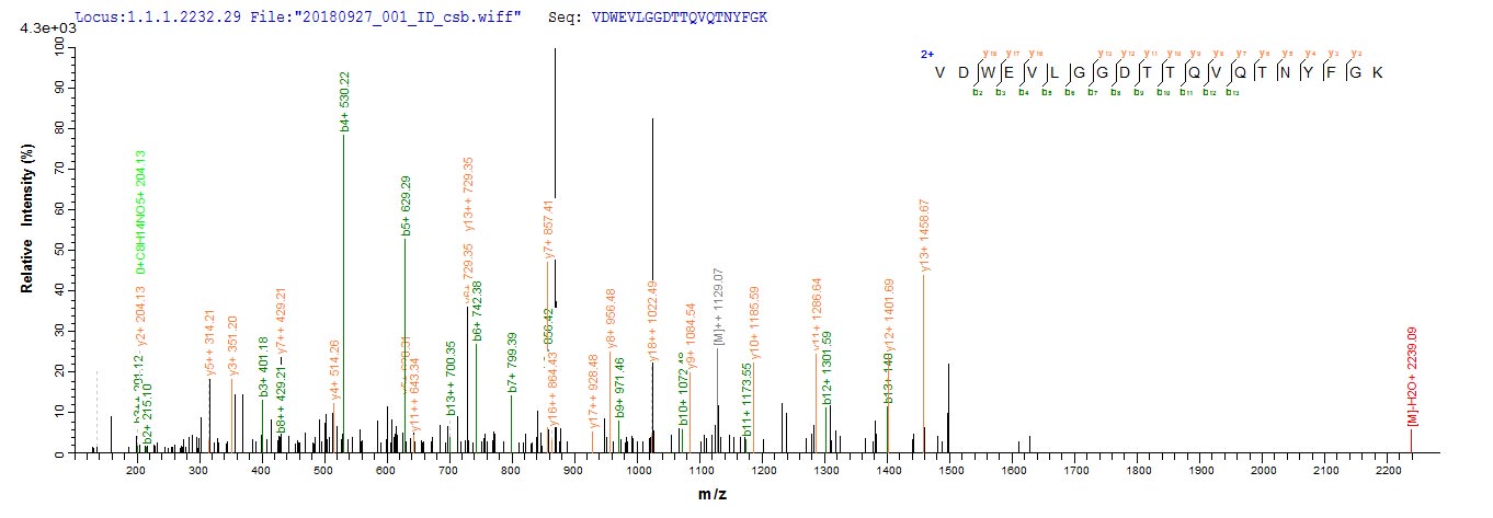 Based on the SEQUEST from database of E.coli host and target protein, the LC-MS/MS Analysis result of RPC25816 could indicate that this peptide derived from E.coli-expressed Neosartorya fumigata (strain ATCC MYA-4609 / Af293 / CBS 101355 / FGSC A1100) (Aspergillus fumigatus) crf1.