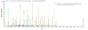 Based on the SEQUEST from database of E.coli host and target protein, the LC-MS/MS Analysis result of RPC25816 could indicate that this peptide derived from E.coli-expressed Neosartorya fumigata (strain ATCC MYA-4609 / Af293 / CBS 101355 / FGSC A1100) (Aspergillus fumigatus) crf1.
