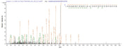 Based on the SEQUEST from database of E.coli host and target protein, the LC-MS/MS Analysis result of RPC25820 could indicate that this peptide derived from E.coli-expressed Homo sapiens (Human) AP1B1.