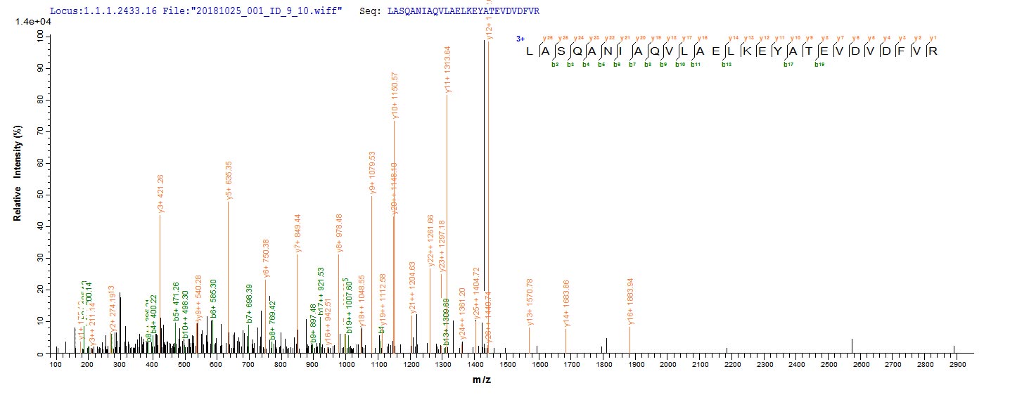 Based on the SEQUEST from database of E.coli host and target protein, the LC-MS/MS Analysis result of RPC25820 could indicate that this peptide derived from E.coli-expressed Homo sapiens (Human) AP1B1.