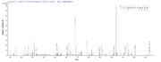 Based on the SEQUEST from database of E.coli host and target protein, the LC-MS/MS Analysis result of RPC25822 could indicate that this peptide derived from E.coli-expressed Human metapneumovirus (strain CAN97-83) (HMPV) M.