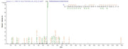 Based on the SEQUEST from database of E.coli host and target protein, the LC-MS/MS Analysis result of RPC25823 could indicate that this peptide derived from E.coli-expressed Neosartorya fumigata (strain ATCC MYA-4609 / Af293 / CBS 101355 / FGSC A1100) (Aspergillus fumigatus) pep2.