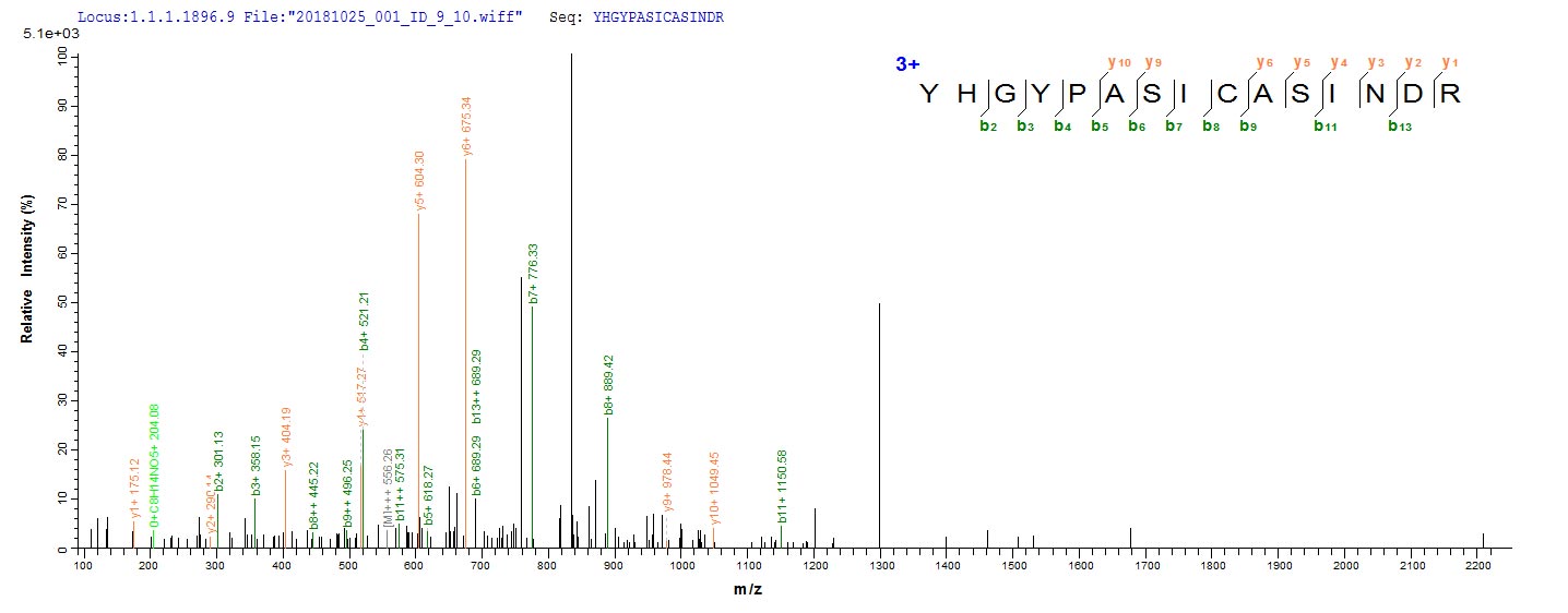 Based on the SEQUEST from database of E.coli host and target protein, the LC-MS/MS Analysis result of RPC25824 could indicate that this peptide derived from E.coli-expressed Mycobacterium tuberculosis (strain CDC 1551 / Oshkosh) map-1.