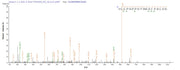 Based on the SEQUEST from database of E.coli host and target protein, the LC-MS/MS Analysis result of RPC25825 could indicate that this peptide derived from E.coli-expressed Escherichia coli (strain K12) malE.