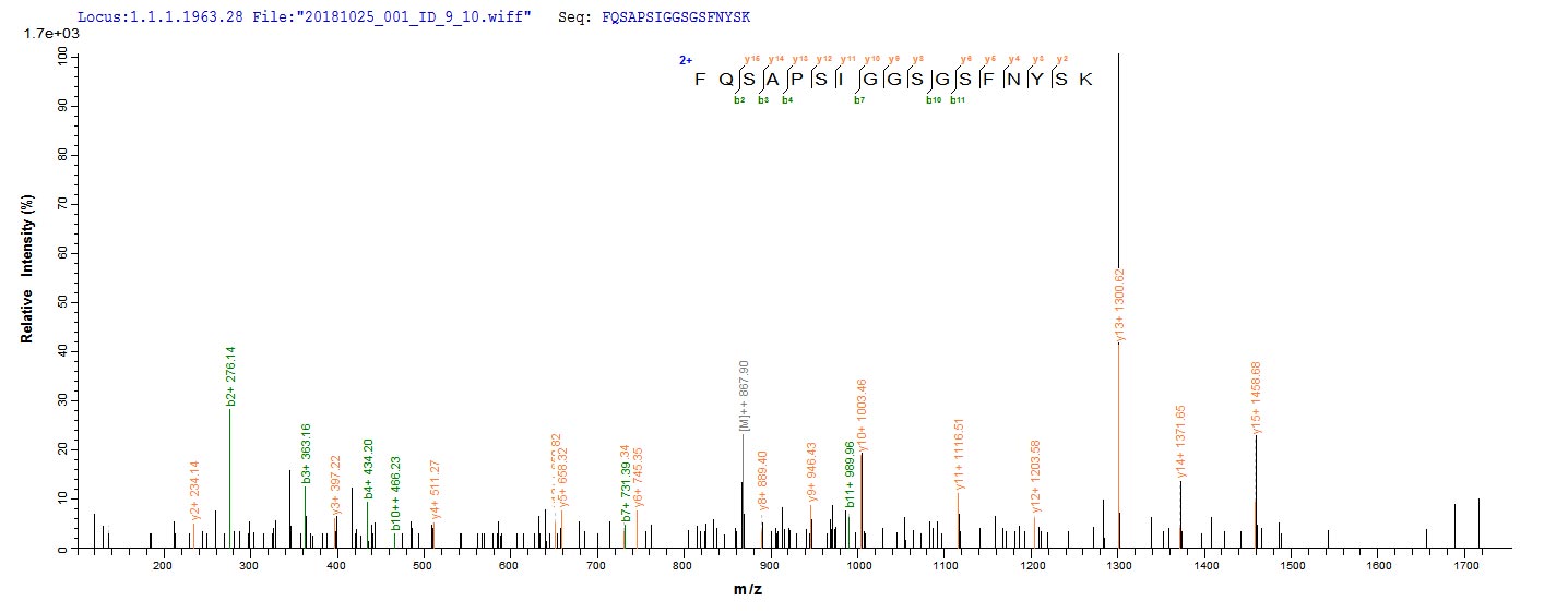 Based on the SEQUEST from database of E.coli host and target protein, the LC-MS/MS Analysis result of RPC25827 could indicate that this peptide derived from E.coli-expressed Staphylococcus aureus (strain MW2) hlgA.