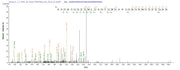 Based on the SEQUEST from database of E.coli host and target protein, the LC-MS/MS Analysis result of RPC25828 could indicate that this peptide derived from E.coli-expressed Escherichia coli (strain K12) pal.