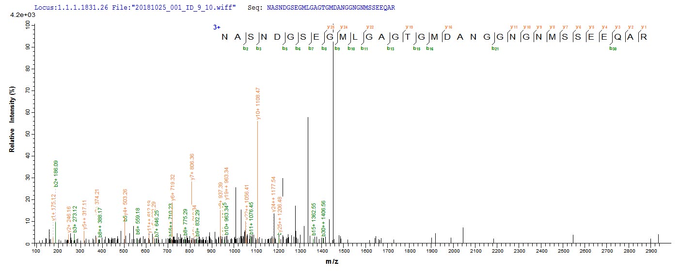 Based on the SEQUEST from database of E.coli host and target protein, the LC-MS/MS Analysis result of RPC25828 could indicate that this peptide derived from E.coli-expressed Escherichia coli (strain K12) pal.