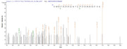 Based on the SEQUEST from database of E.coli host and target protein, the LC-MS/MS Analysis result of RPC26046 could indicate that this peptide derived from E.coli-expressed Human respiratory syncytial virus A (strain A2) F.