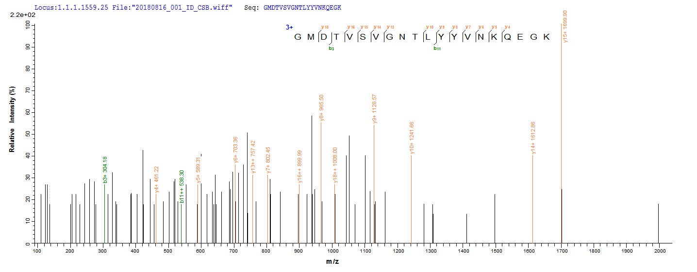 Based on the SEQUEST from database of E.coli host and target protein, the LC-MS/MS Analysis result of RPC26046 could indicate that this peptide derived from E.coli-expressed