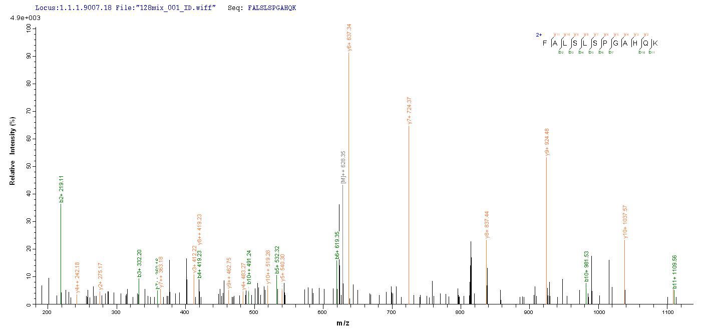 Based on the SEQUEST from database of E.coli host and target protein, the LC-MS/MS Analysis result of RPC26047 could indicate that this peptide derived from E.coli-expressed