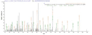 Based on the SEQUEST from database of E.coli host and target protein, the LC-MS/MS Analysis result of RPC26068 could indicate that this peptide derived from E.coli-expressed Homo sapiens (Human) TENT4B.