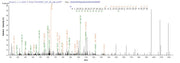 Based on the SEQUEST from database of E.coli host and target protein, the LC-MS/MS Analysis result of RPC26070 could indicate that this peptide derived from E.coli-expressed Homo sapiens (Human) HBG1.