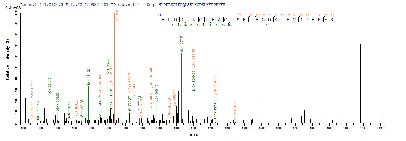 Based on the SEQUEST from database of E.coli host and target protein, the LC-MS/MS Analysis result of RPC26070 could indicate that this peptide derived from E.coli-expressed Homo sapiens (Human) HBG1.