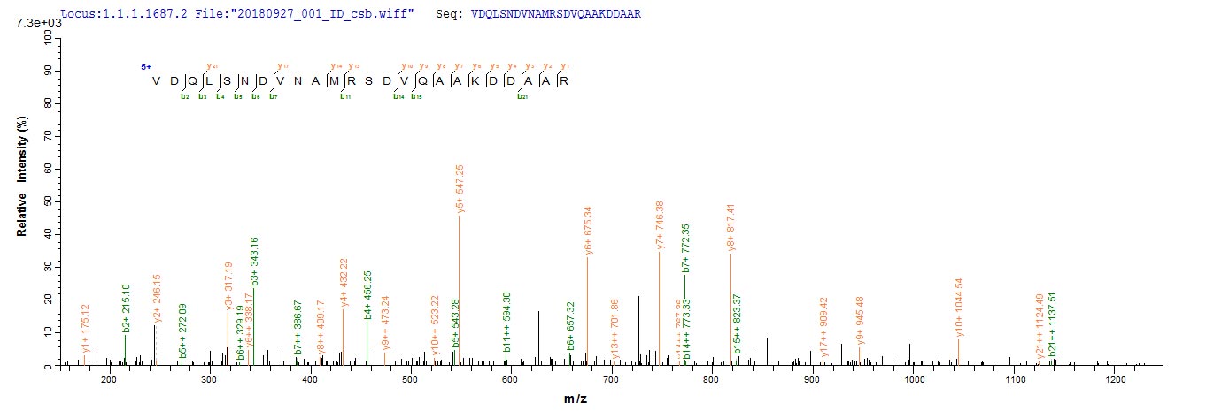 Based on the SEQUEST from database of E.coli host and target protein, the LC-MS/MS Analysis result of RPC26073 could indicate that this peptide derived from E.coli-expressed Escherichia coli (strain K12) lpp.