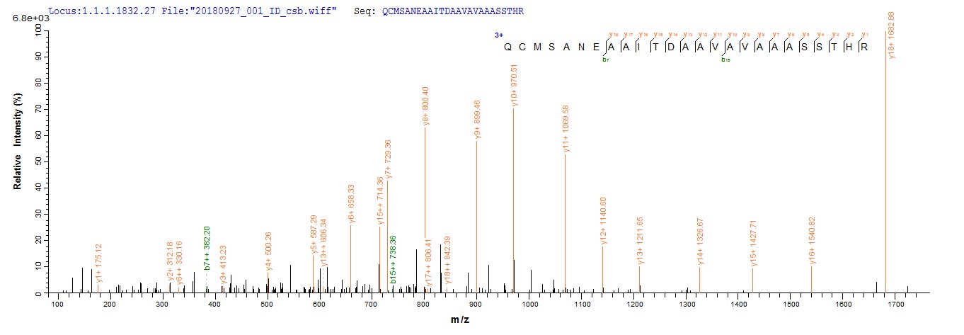 Based on the SEQUEST from database of Yeast host and target protein, the LC-MS/MS Analysis result of RPC26081 could indicate that this peptide derived from Yeast-expressed