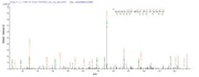 Based on the SEQUEST from database of Yeast host and target protein, the LC-MS/MS Analysis result of RPC26082 could indicate that this peptide derived from Yeast-expressed Cricetulus griseus (Chinese hamster) (Cricetulus barabensis griseus) PRDX1.