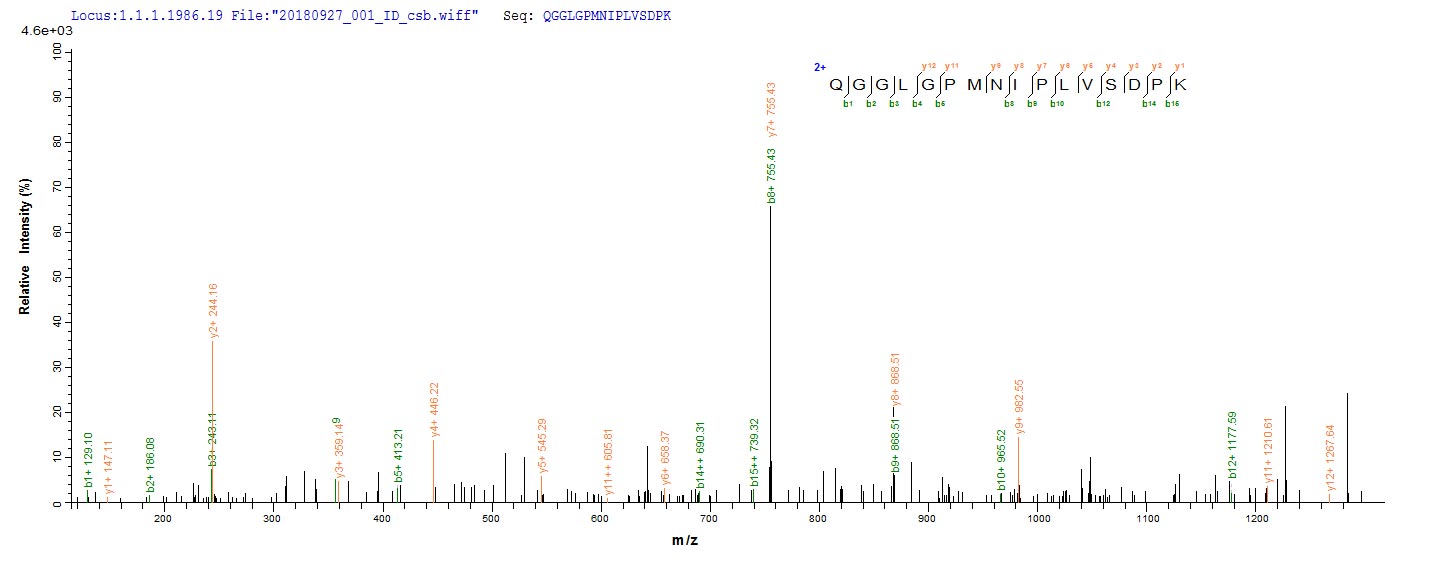 Based on the SEQUEST from database of Yeast host and target protein, the LC-MS/MS Analysis result of RPC26082 could indicate that this peptide derived from Yeast-expressed