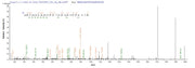 Based on the SEQUEST from database of E.coli host and target protein, the LC-MS/MS Analysis result of RPC26094 could indicate that this peptide derived from E.coli-expressed Mus musculus (Mouse) Adamts13.