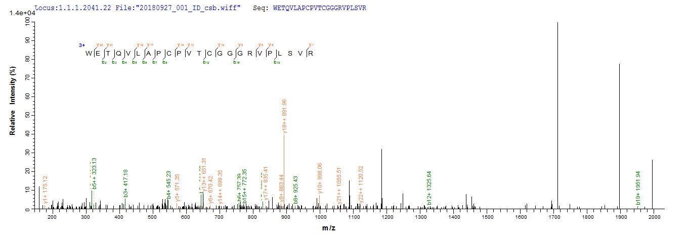 Based on the SEQUEST from database of E.coli host and target protein, the LC-MS/MS Analysis result of RPC26094 could indicate that this peptide derived from E.coli-expressed Mus musculus (Mouse) Adamts13.