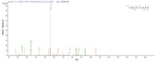 Based on the SEQUEST from database of E.coli host and target protein, the LC-MS/MS Analysis result of RPC26102 could indicate that this peptide derived from E.coli-expressed Homo sapiens (Human) WNT3A.