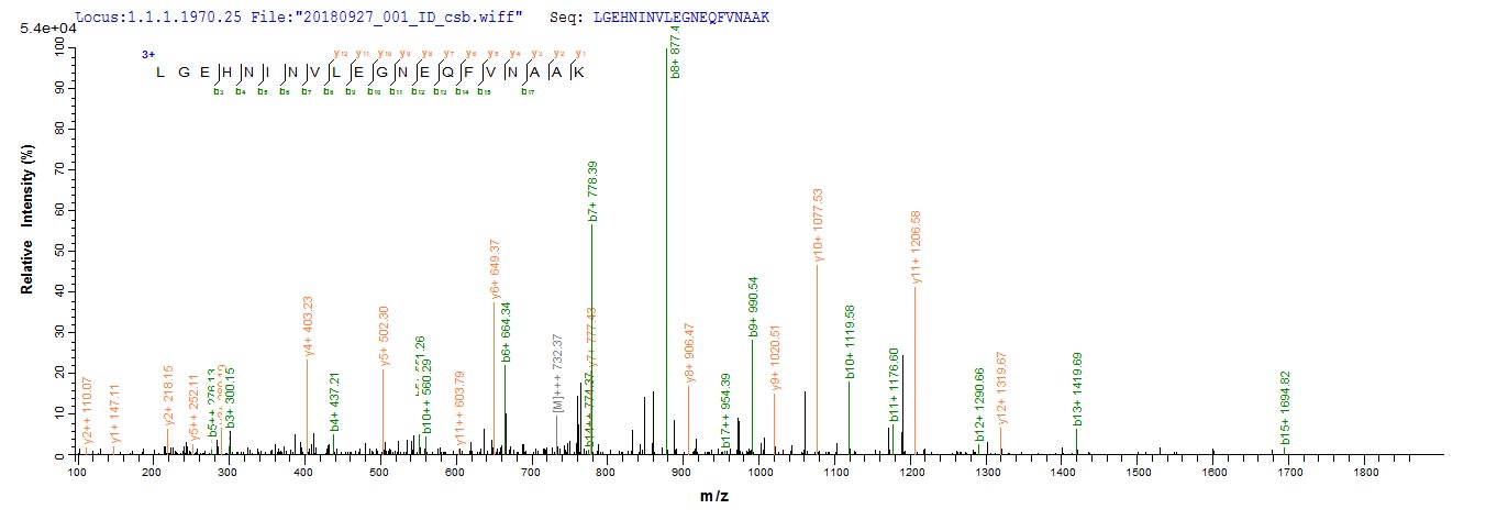 Based on the SEQUEST from database of Yeast host and target protein, the LC-MS/MS Analysis result of RPC26107 could indicate that this peptide derived from Yeast-expressed Rattus norvegicus (Rat) Prss2.