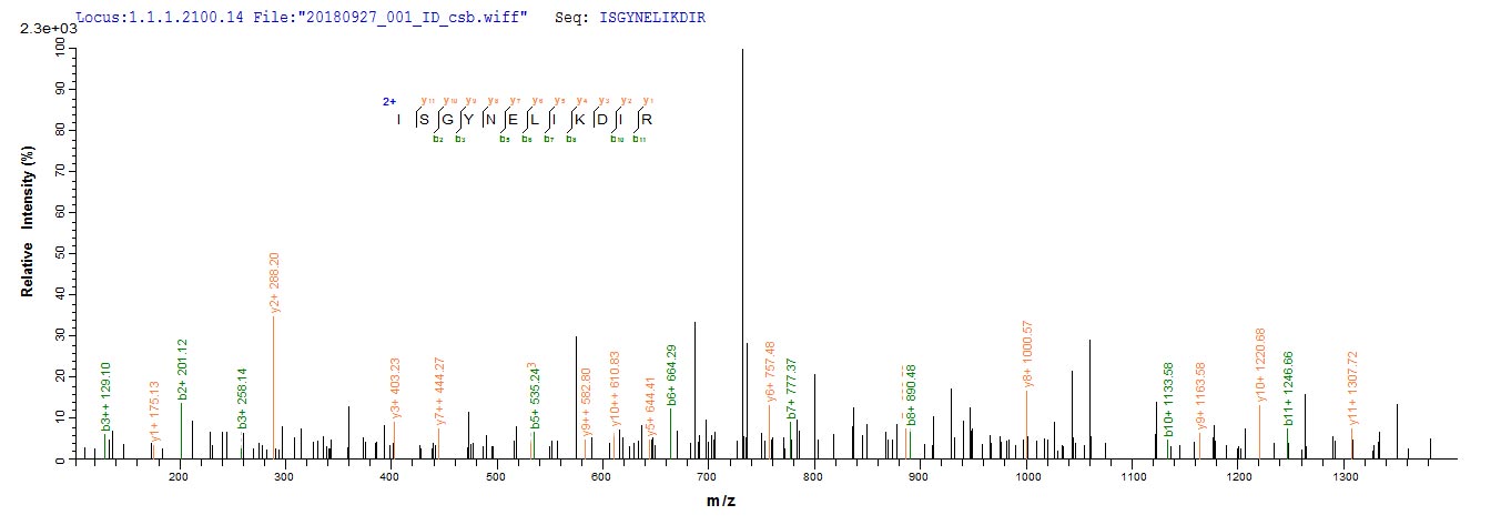 Based on the SEQUEST from database of E.coli host and target protein, the LC-MS/MS Analysis result of RPC26111 could indicate that this peptide derived from E.coli-expressed Enterobacteria phage T4 (Bacteriophage T4) dsbA.