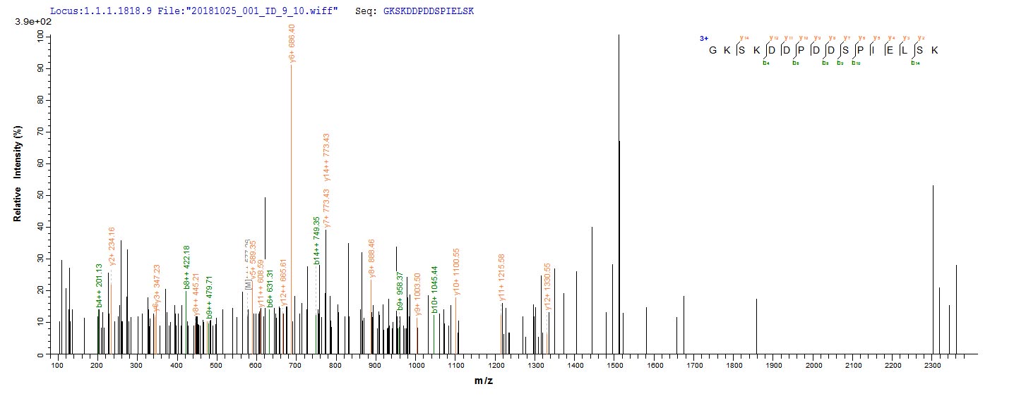 Based on the SEQUEST from database of E.coli host and target protein, the LC-MS/MS Analysis result of RPC26141 could indicate that this peptide derived from E.coli-expressed Mus musculus (Mouse) Veph1.
