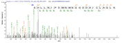 Based on the SEQUEST from database of E.coli host and target protein, the LC-MS/MS Analysis result of RPC26142 could indicate that this peptide derived from E.coli-expressed Homo sapiens (Human) KCNMA1.
