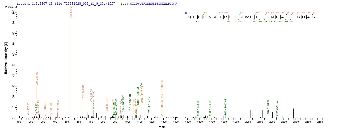 Based on the SEQUEST from database of E.coli host and target protein, the LC-MS/MS Analysis result of RPC26143 could indicate that this peptide derived from E.coli-expressed Klebsiella pneumoniae bla.