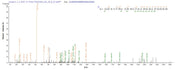 Based on the SEQUEST from database of E.coli host and target protein, the LC-MS/MS Analysis result of RPC26143 could indicate that this peptide derived from E.coli-expressed Klebsiella pneumoniae bla.