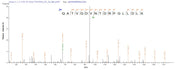 Based on the SEQUEST from database of E.coli host and target protein, the LC-MS/MS Analysis result of RPC26167 could indicate that this peptide derived from E.coli-expressed Mus musculus (Mouse) Dbi.