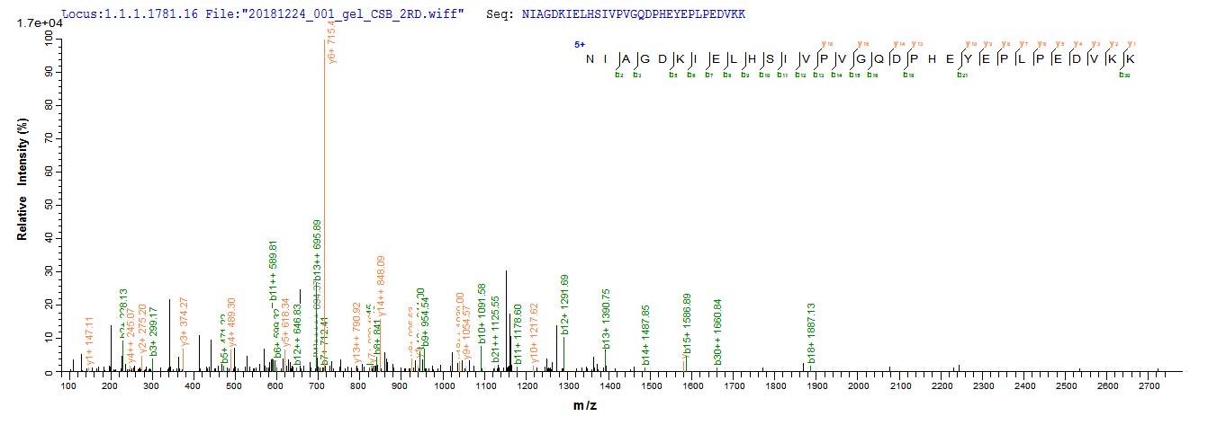 Based on the SEQUEST from database of E.coli host and target protein, the LC-MS/MS Analysis result of RPC26228 could indicate that this peptide derived from E.coli-expressed Streptococcus pneumoniae psaA.